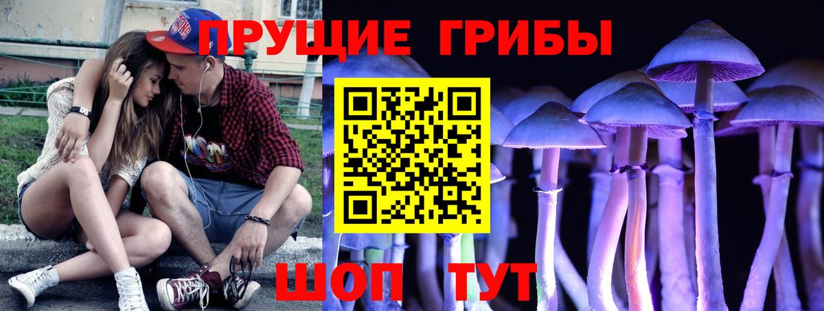 Псилоцибиновые грибы Cubensis Карпинск